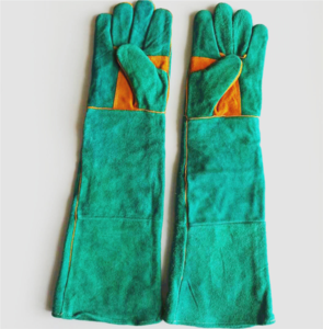 Protection Gloves (16)