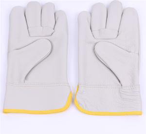 Protection Gloves (18)