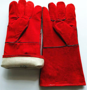 Protection Gloves (10)